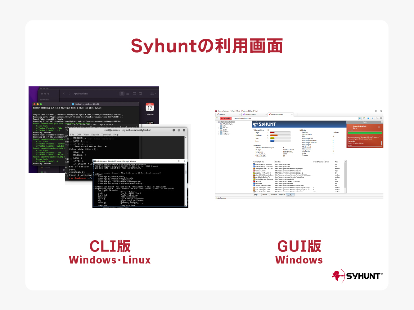 Syhunt利用画面